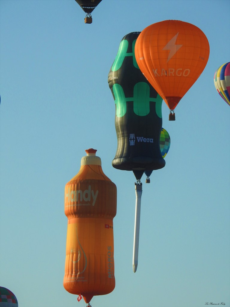 Mondial Air Ballons 
29/07/2019
les-passions-de-faby.com