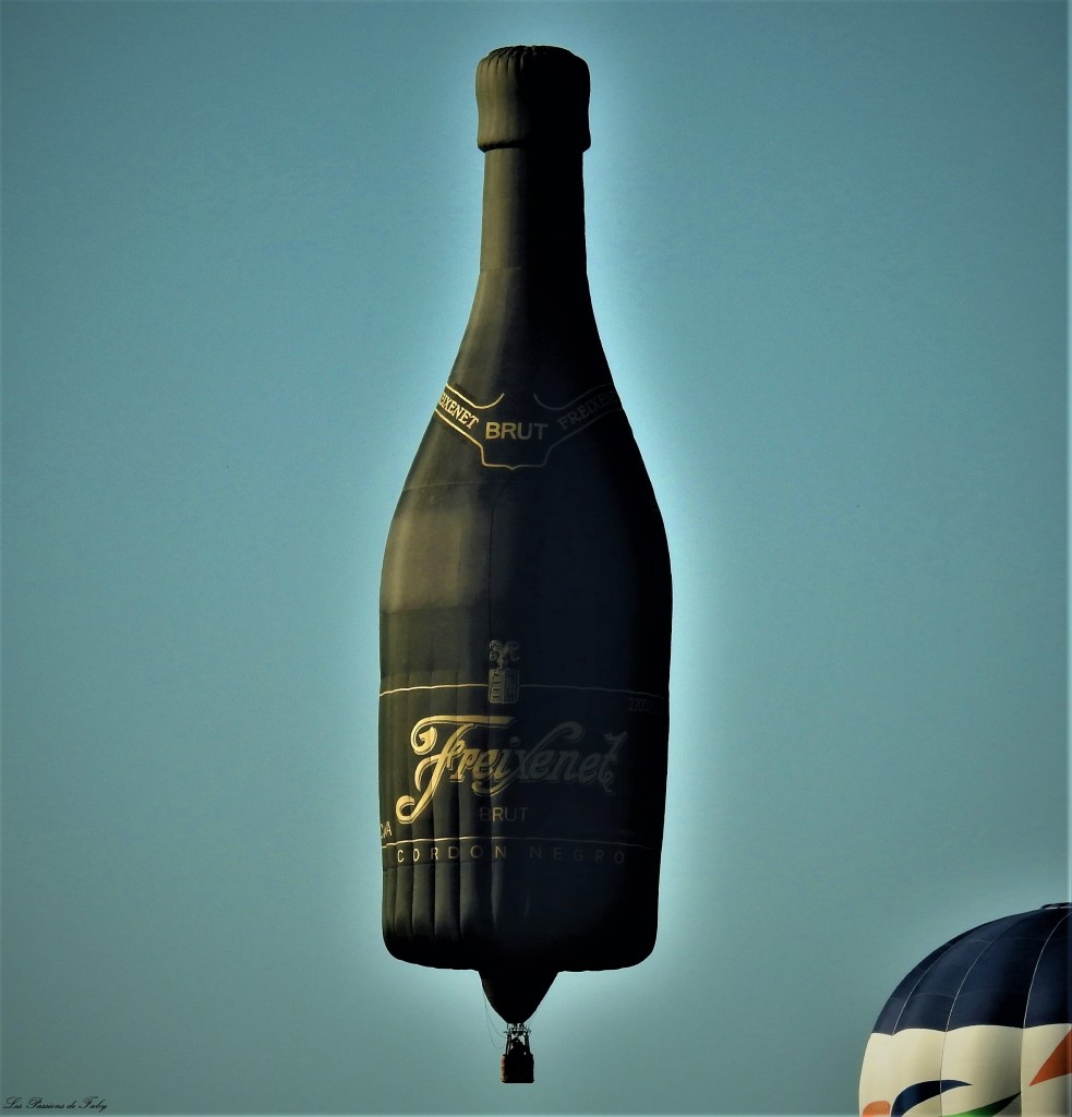 Mondial Air Ballons 
29/07/2019
les-passions-de-faby.com