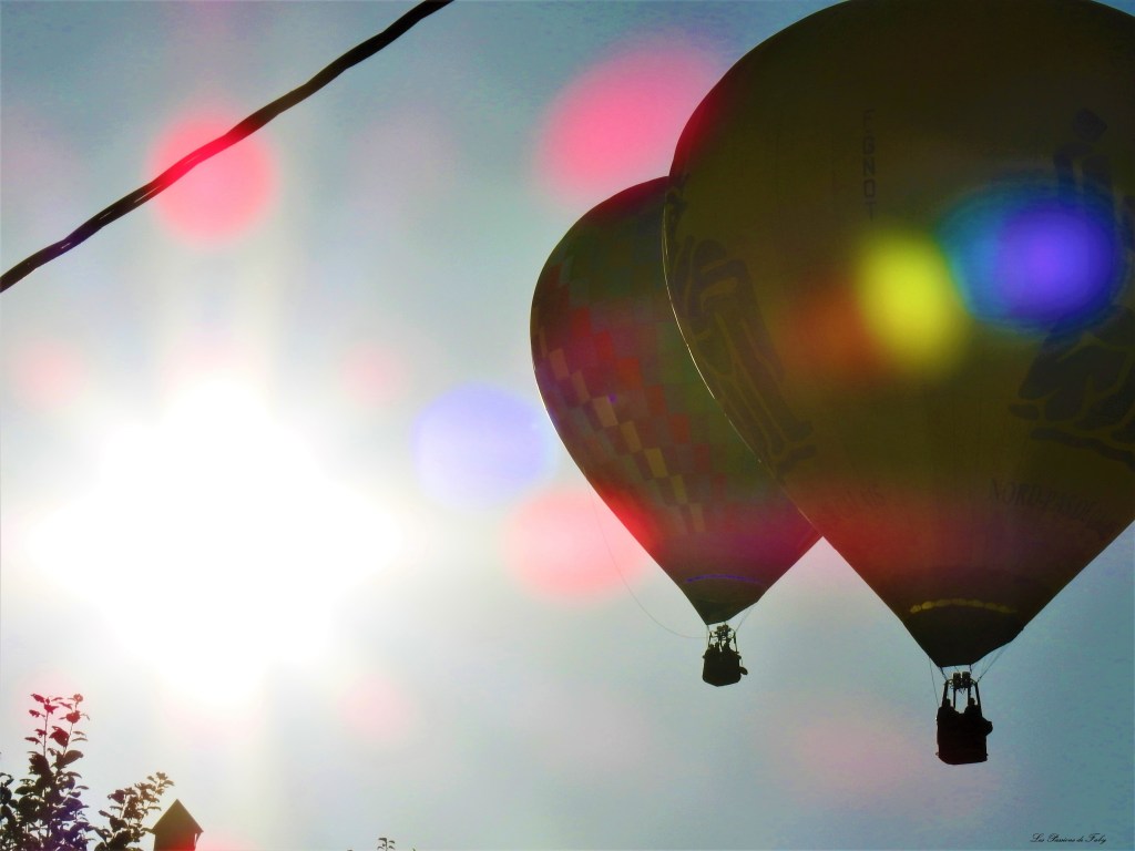 Mondial Air Ballons 
29/07/2019
les-passions-de-faby.com