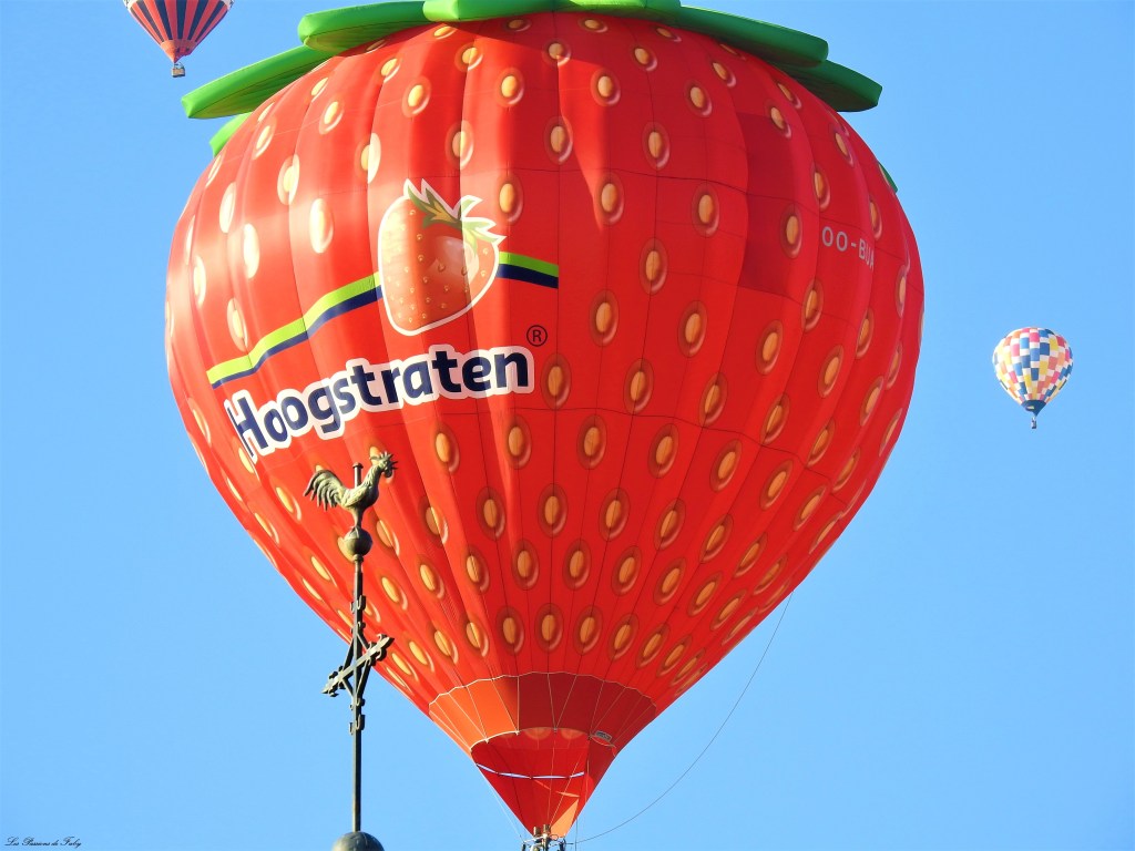 Mondial Air Ballons 
29/07/2019
les-passions-de-faby.com