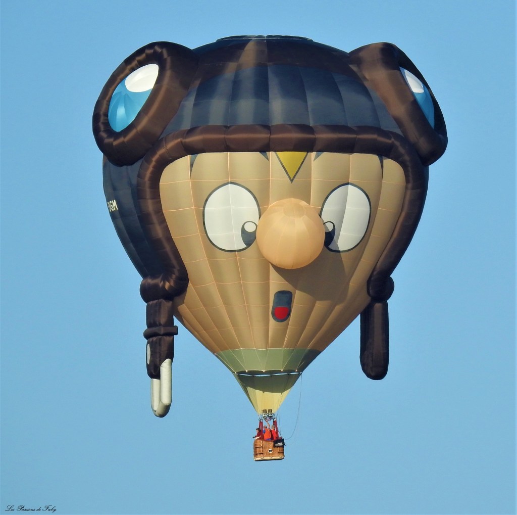 Mondial Air Ballons 
29/07/2019
les-passions-de-faby.com