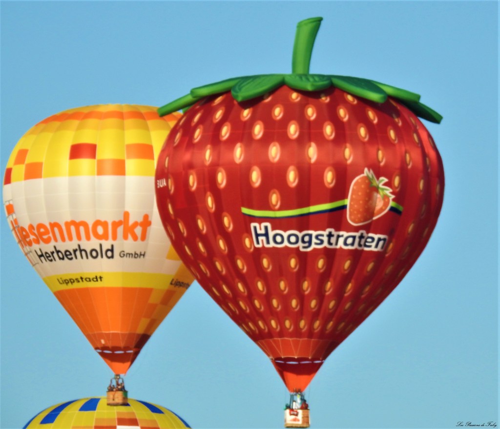 Mondial Air Ballons 
29/07/2019
les-passions-de-faby.com