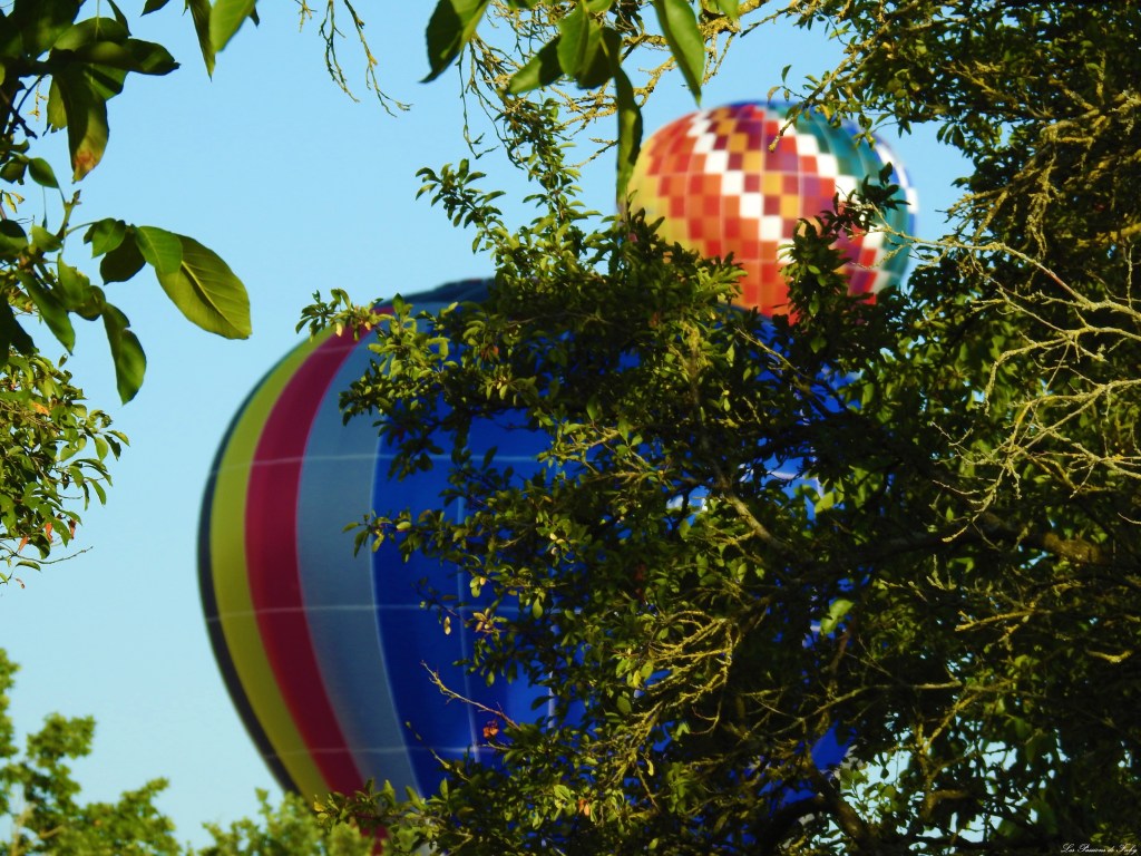 Mondial Air Ballons 
29/07/2019
les-passions-de-faby.com