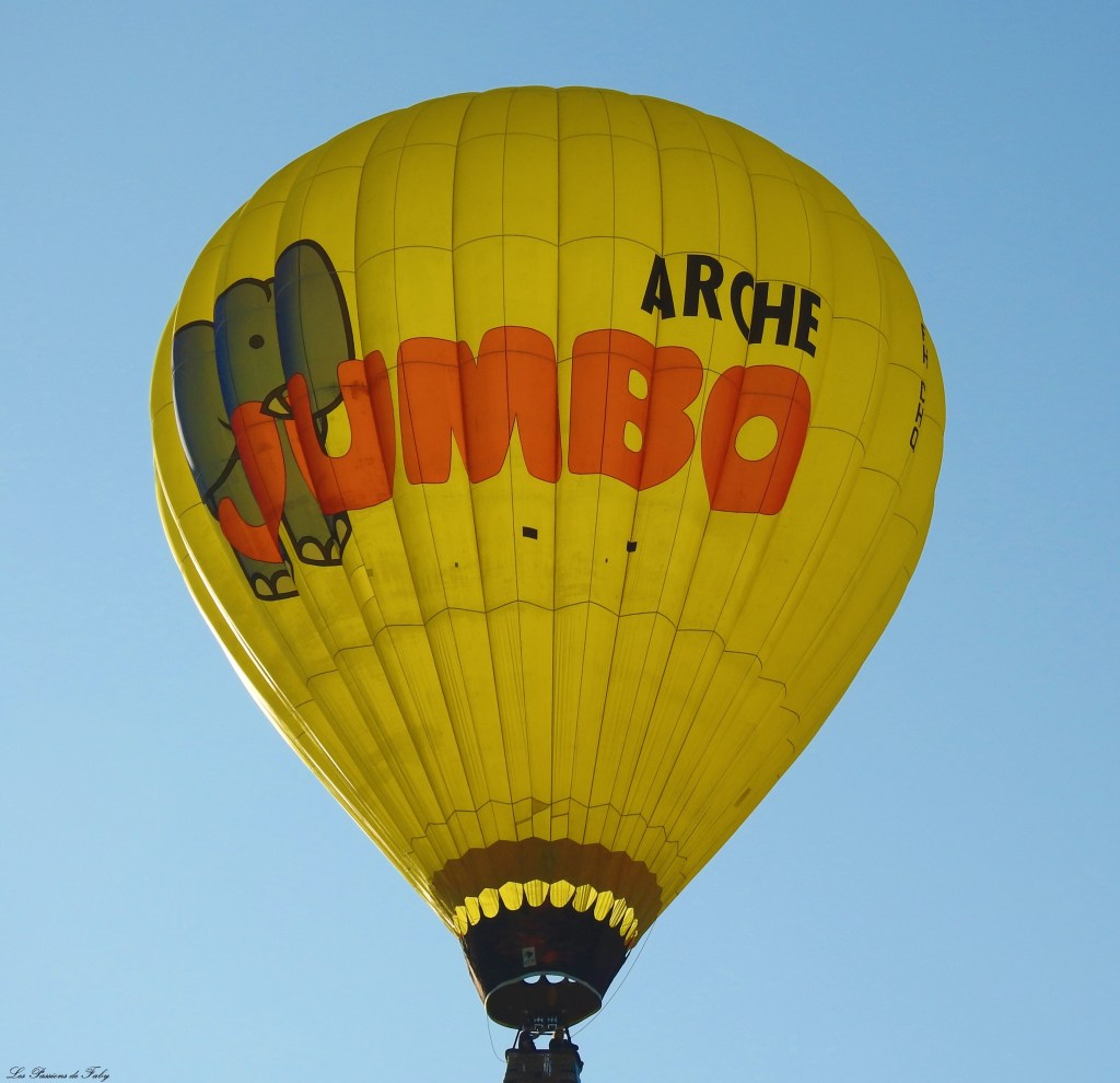 Mondial Air Ballons 
29/07/2019
les-passions-de-faby.com