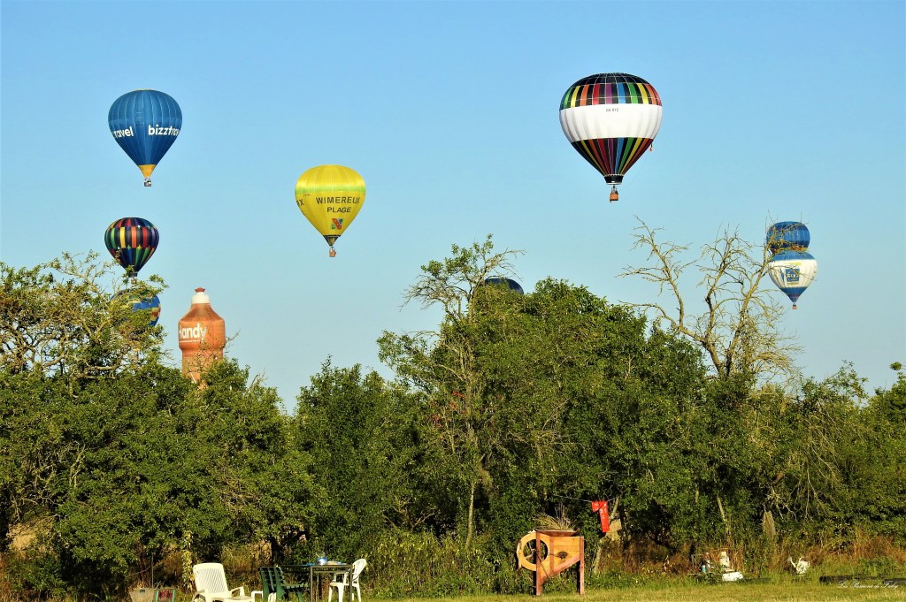 Mondial Air Ballons 
29/07/2019
les-passions-de-faby.com