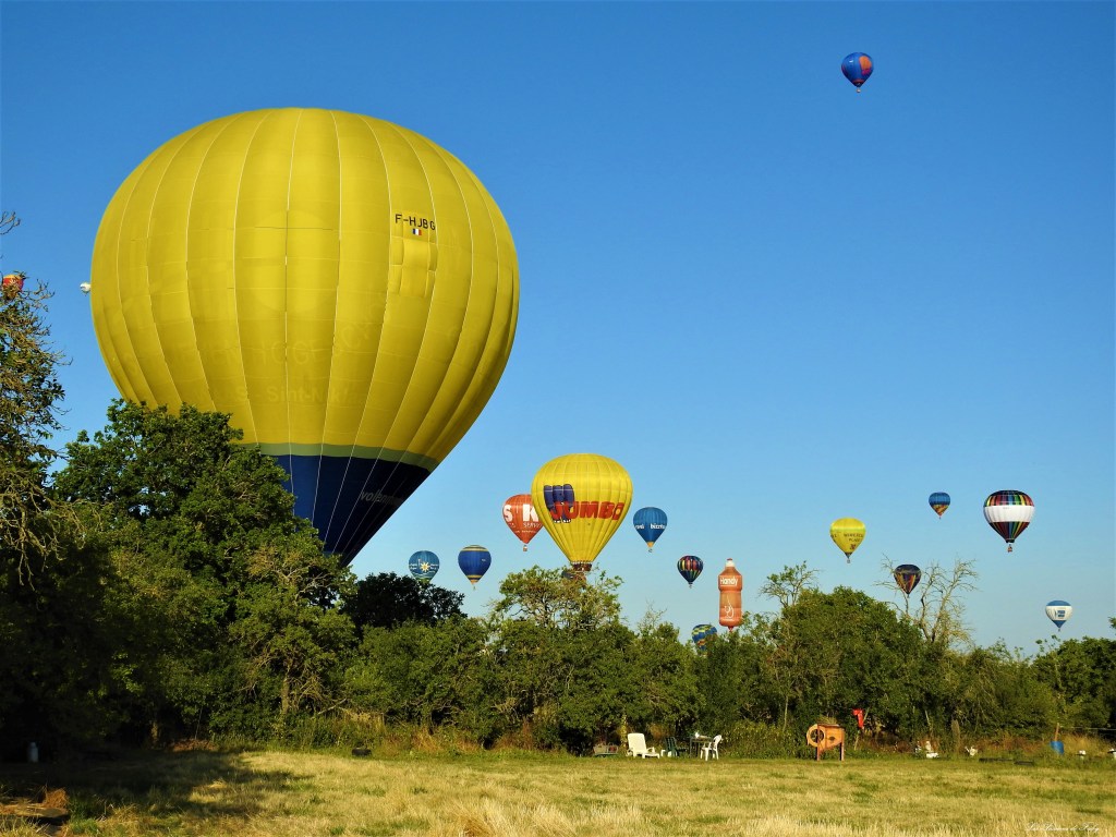 Mondial Air Ballons 
29/07/2019
les-passions-de-faby.com