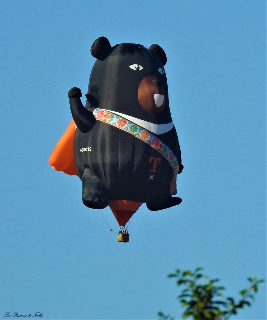 Mondial Air Ballons 
29/07/2019
les-passions-de-faby.com