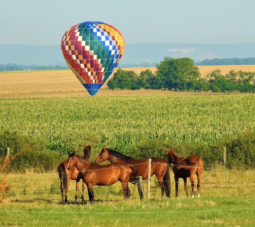 Mondial Air Ballons 
29/07/2019
les-passions-de-faby.com