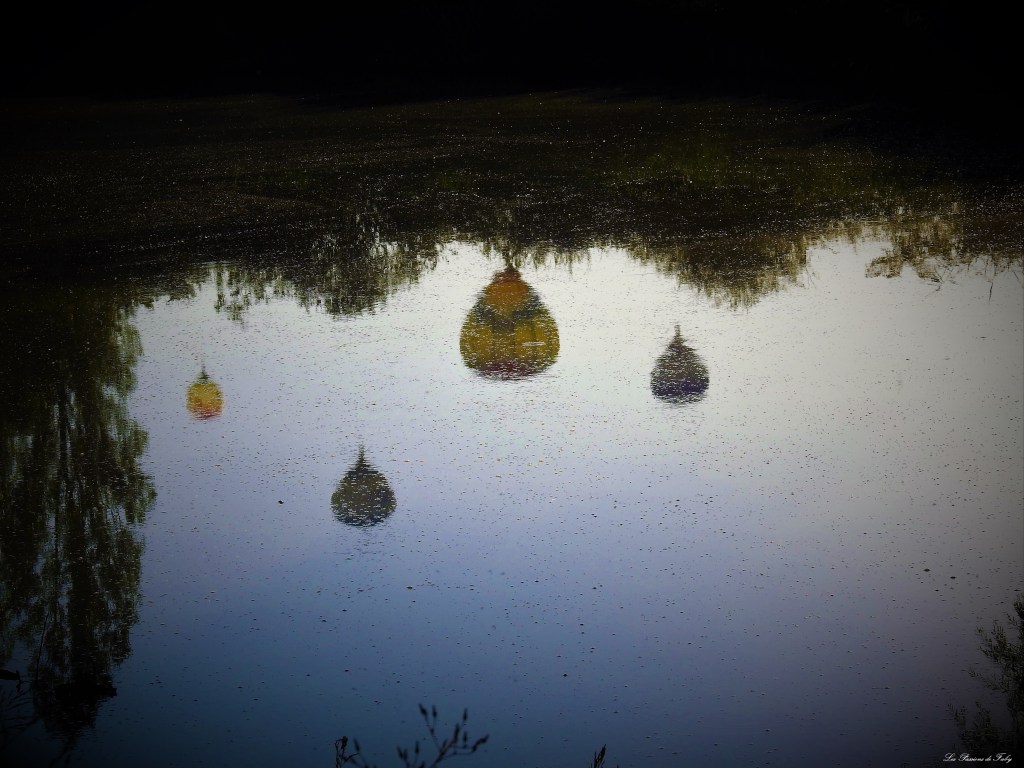 Grand - Est Mondial Air Ballons 2019
les-passions-de-faby.com