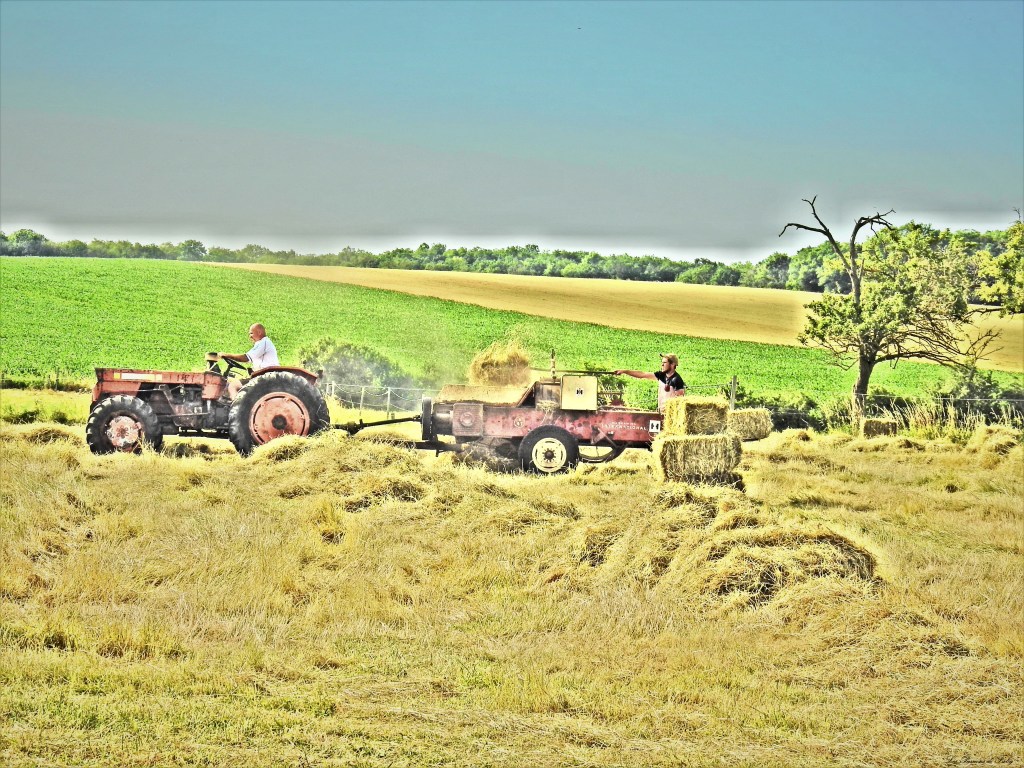 Fenaison d'Antan II
les-passions-de-faby.com