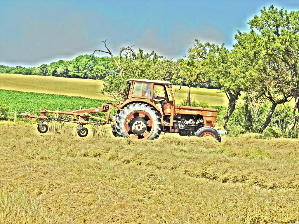 Fenaison d'Antan II
les-passions-de-faby.com