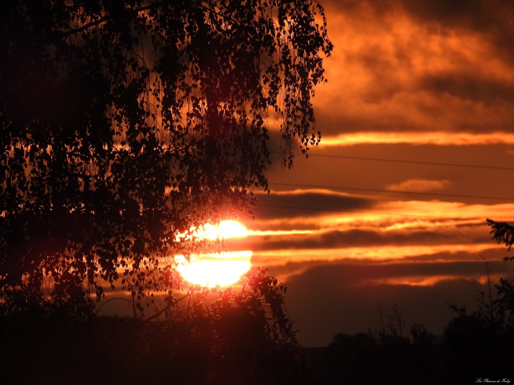 Quand le Soleil 🌄a RDV avec la&nbsp;Lune🌙