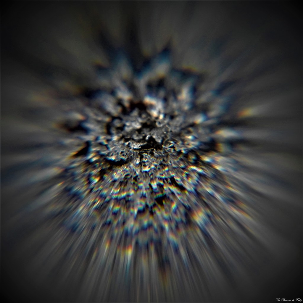 Gelées d&rsquo;un Dimanche de Janvier /&nbsp;Lensball