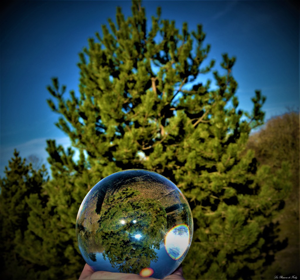 Essai Lensball