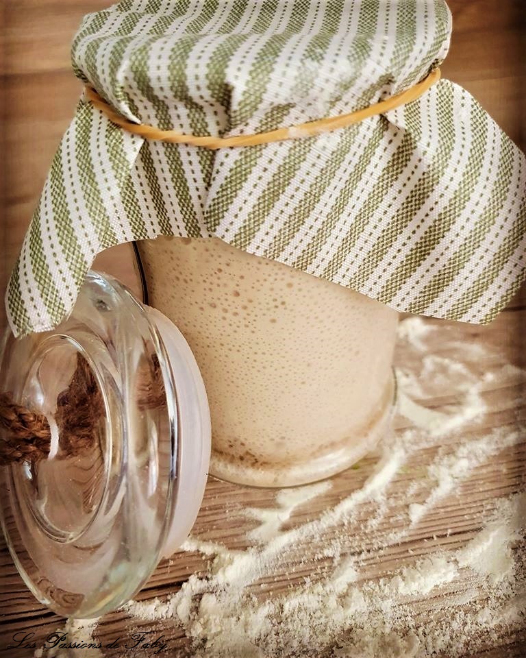 Levain Maison à Base d&rsquo;Eau Fermentée aux&nbsp;Fruits