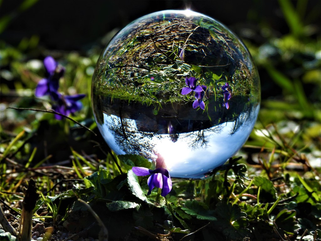 Comme un air de&nbsp;Printemps