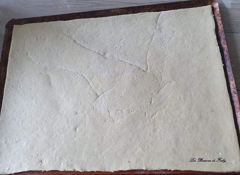 Pâte à Pizza 🍕 Maison à l&rsquo;Origan & au Levain à base d&rsquo;Eau Fermentée de&nbsp;Fruits