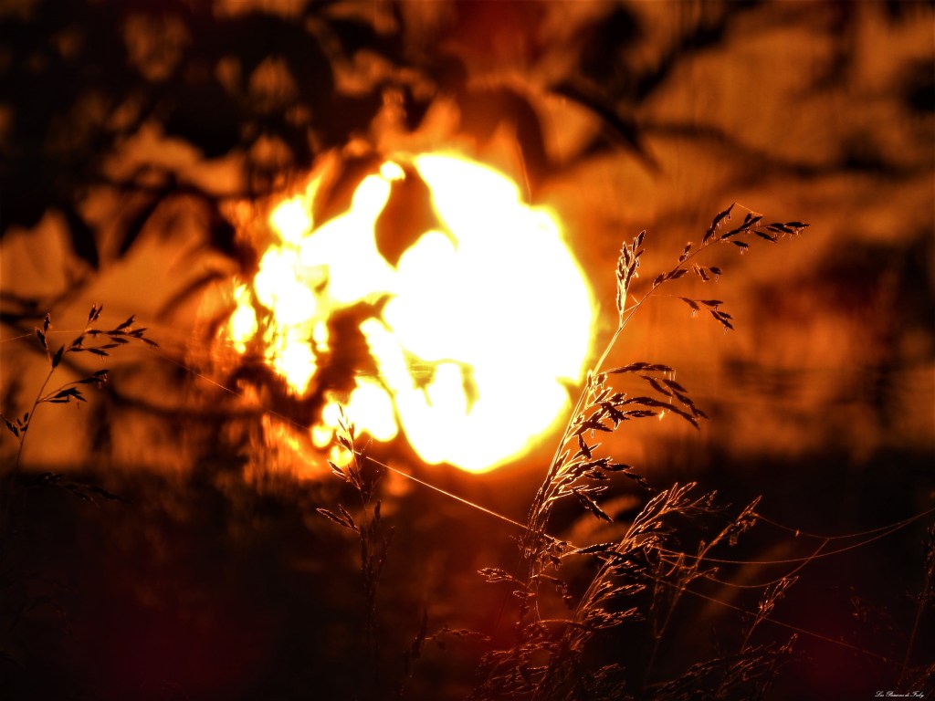 Lever de soleil