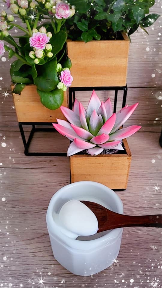 Yaourt Maison à la Yaourtière Sans&nbsp;Electricité